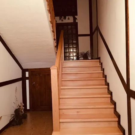 візерунок Apartment